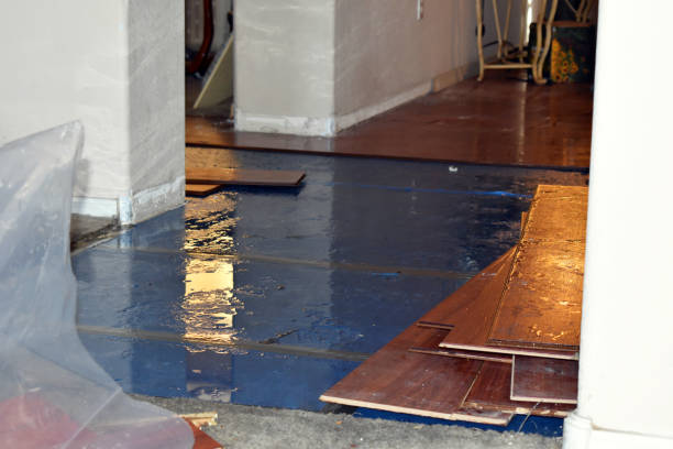 Professional Burst Pipe Cleanup technician working in King, WI